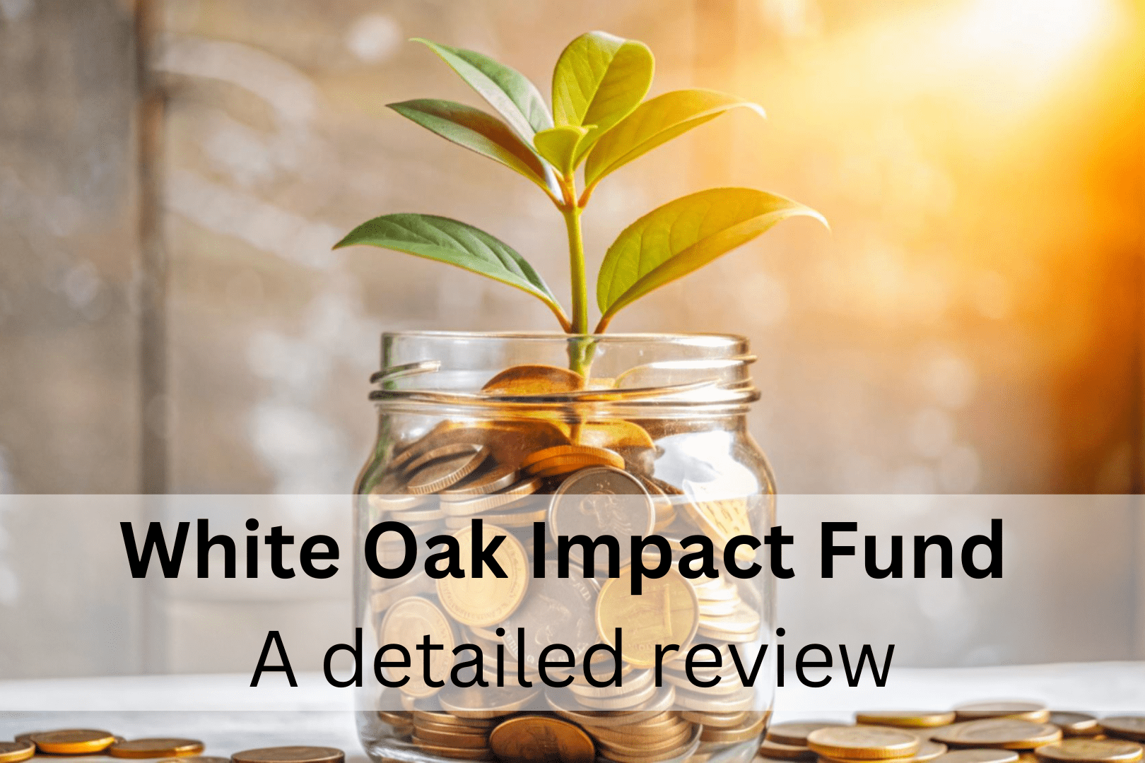 White Oak Impact Fund